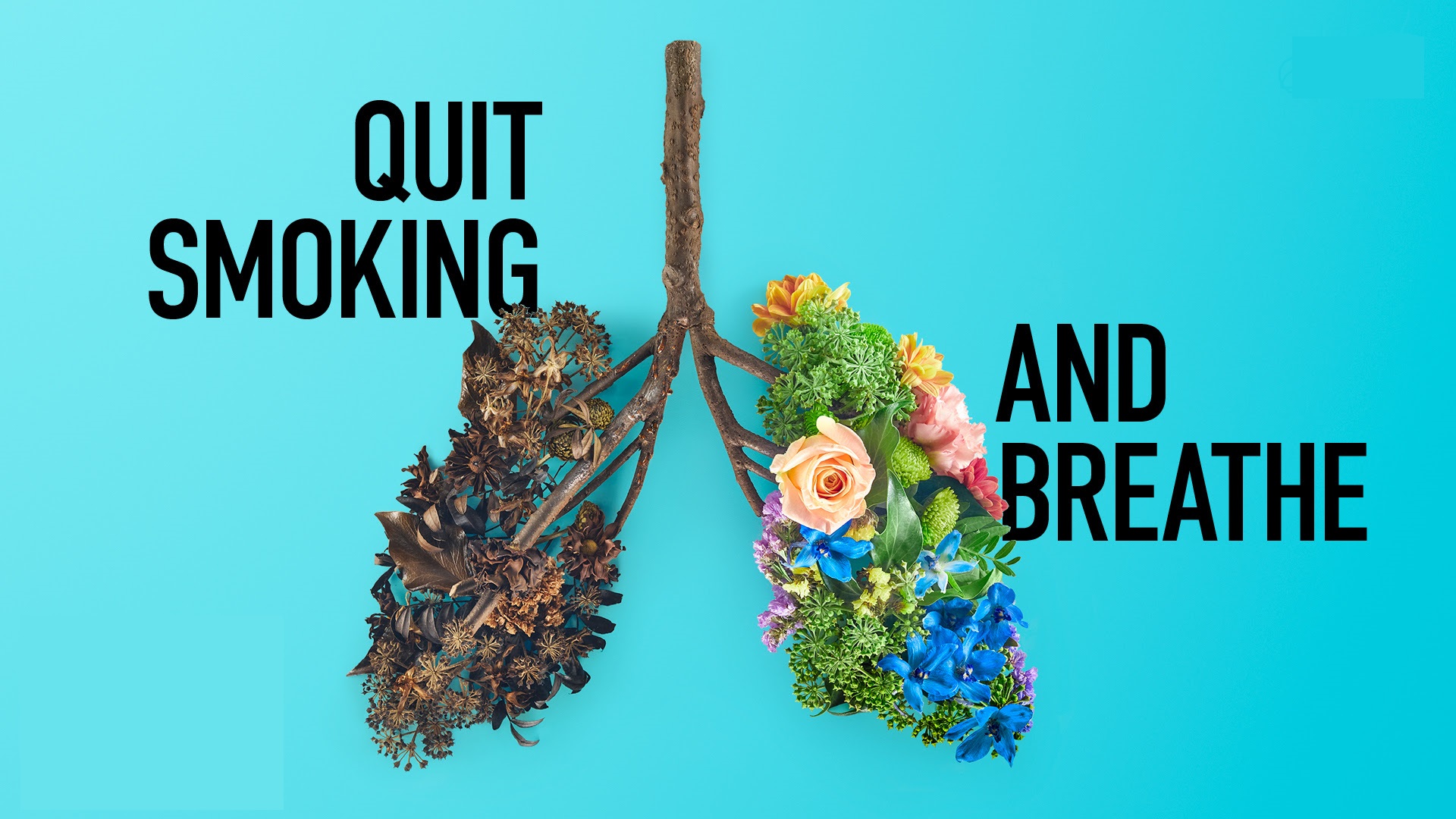 12 lời ích khi bạn bỏ thuốc lá điện tử